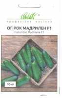 купить семена огурец мадрилен
