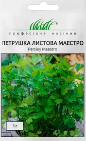 Семена петрушки маэстро