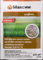 купити максим