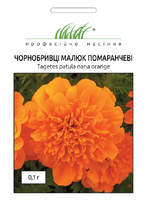 насіння чорнобривці малюк