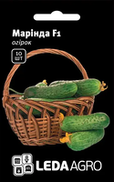 Купить семена огурец маринда