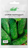 Купить семена огурцов маринда