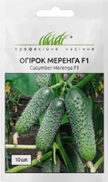 насіння огірок меренга