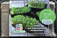 Купить набор микрозелени микс вскусов