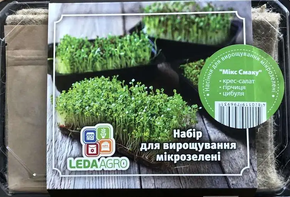 Купить набор микрозелени микс вскусов