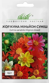 Купить семена цветов георгина миньон смесь