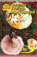 Купить мицелий груздь настоящий