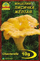 Купить мицелий лисичка желта