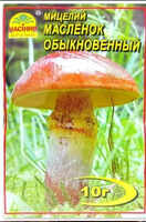 Купить мицелий масленок обыкновенный