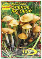 Купить мицелий опенок луговой