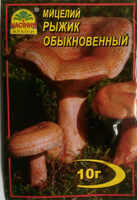 Купить мицелий рыжик обыкновенный