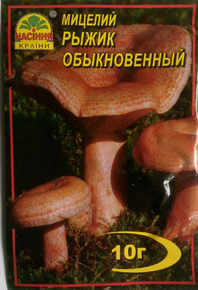 Купить мицелий рыжик обыкновенный