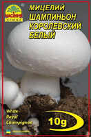 Купить шампиньон королевский белый