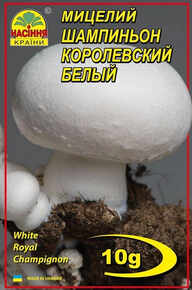 Купить шампиньон королевский белый