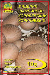 Купить шампиньон королевский коричневый