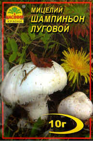 Купить мицелий шампиньон луговой