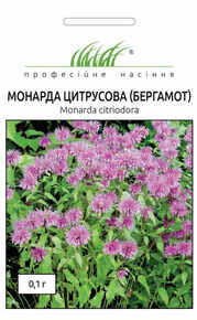 купить семена монарда бергамот
