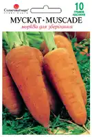 купить семена морковки мускат