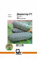 купить семена директор огурец