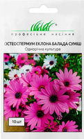 купит семена остеоспермум еклона балада