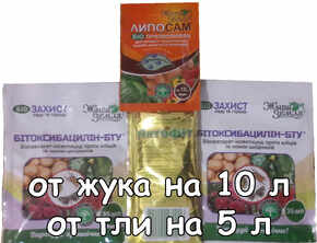 от колорадского жука