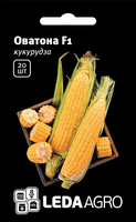 семена кукурузы оватон