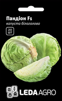 Купить семена капусты пандион