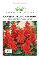 купить семена сальвия блестящая пиколо красная