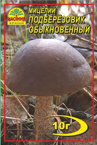 Купить семена подберезовик мицелий