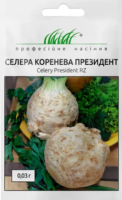 купить семена сельдерей корневой президент