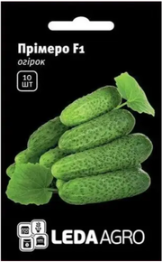 семена огурец примеро 