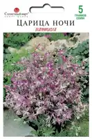 купить семена маттиола царица ночи