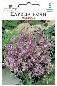 купить семена маттиола царица ночи