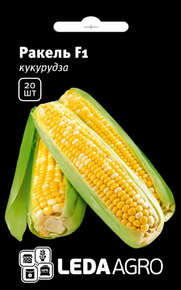Купить семена кукуруза ракель