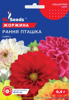 Купить семена цветов георгины ранняя птичка