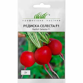 купить семена редиска селеста