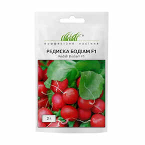 купить семена бодіам F1 редиска