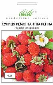 купити регіна суниця