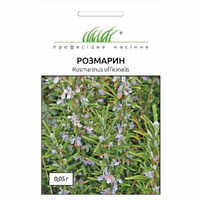 купити розмарин