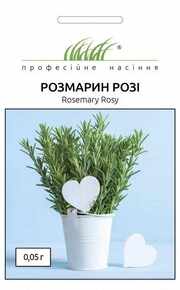 купити розмарин розі