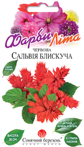 Купить семена цветов сальвия красная