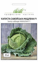 купить семена капуста мадлена савойская