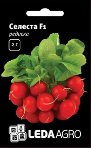 Купить семена редиски селеста 2 г