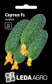 Купить семена огурец сертел