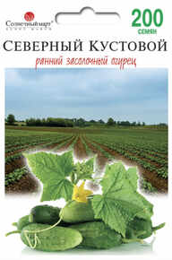 купить семена огурец северный кустовой