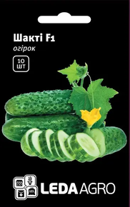 Купить семена огурец шакти