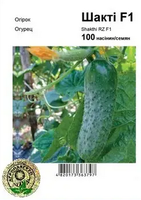 Купить семена огурец шакти