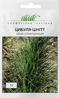купить семена лука шнитт