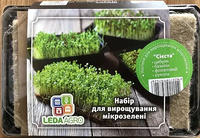Купить набор микрозелени сиеста