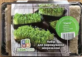 Купить набор микрозелени сиеста